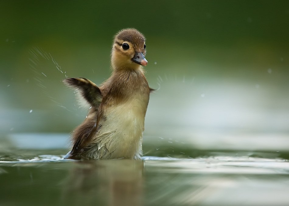 KoleanMike's tweet image. Happy Tuesday Twitterworld 🙋‍♂️