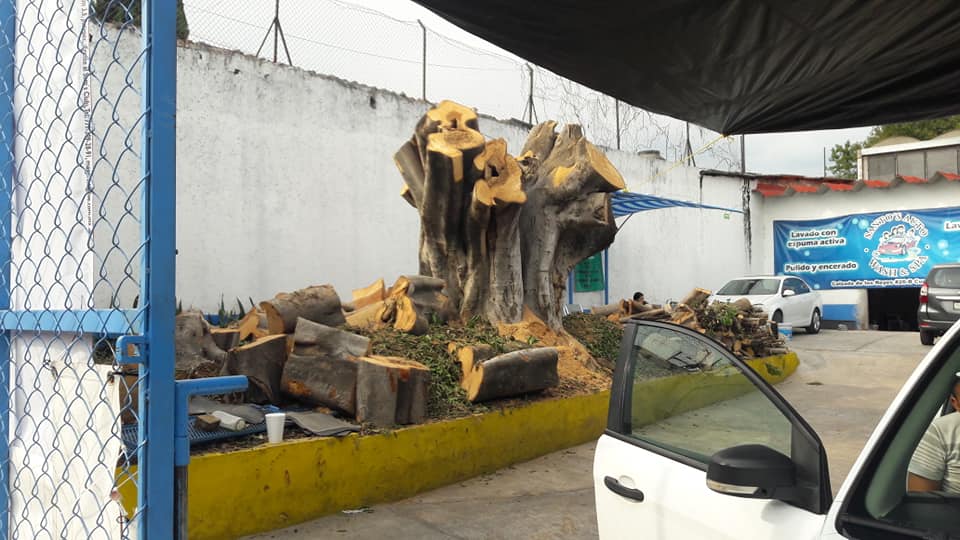 VALENTIN PARADA tweet media