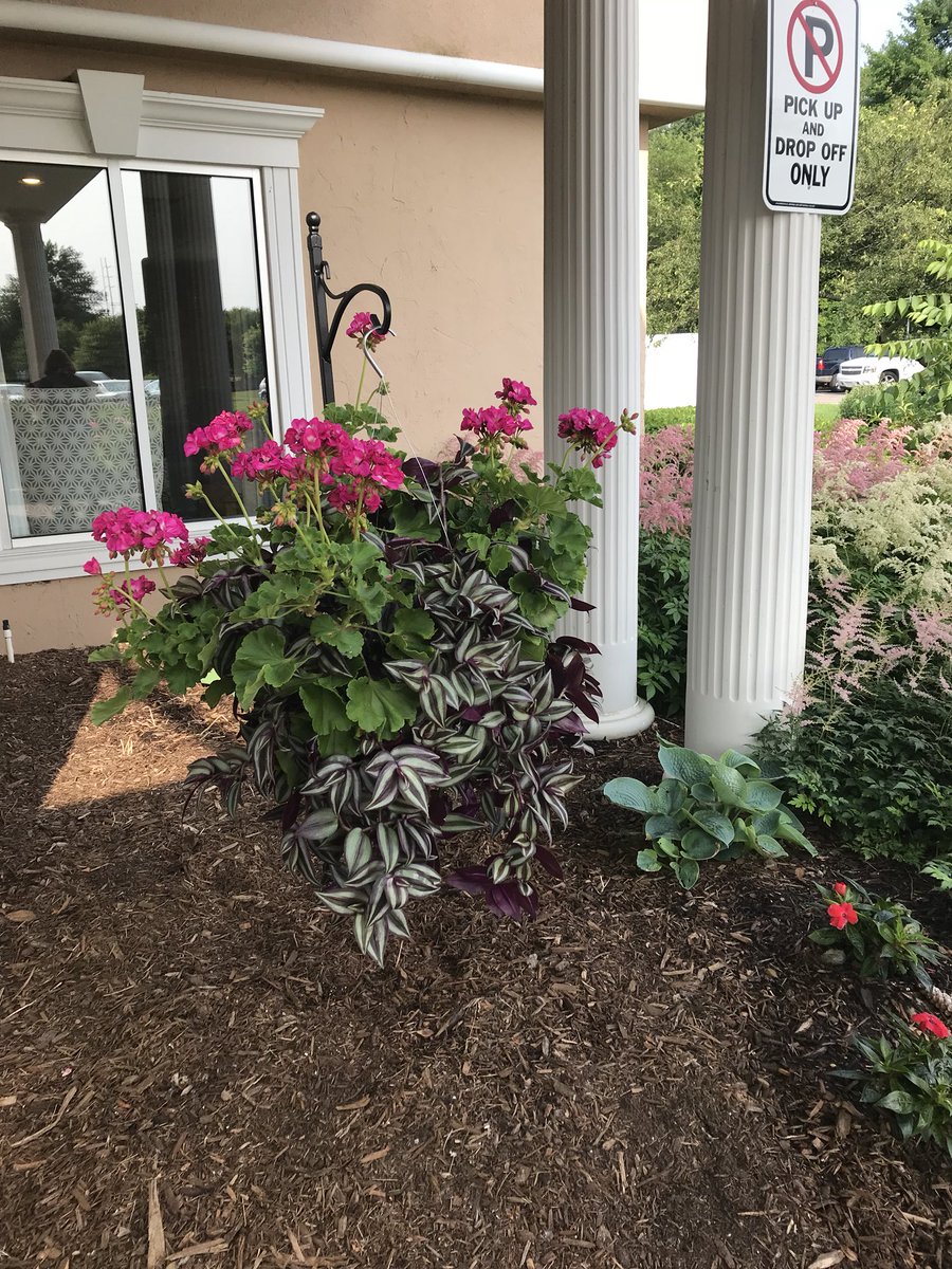 AlyssaSpicer3's tweet photo. @OaksAtCascade so lovely and peaceful! I’m moving in! #CampusInColor2019 @CyndiTaplin https://t.co/vuiEMmJglD