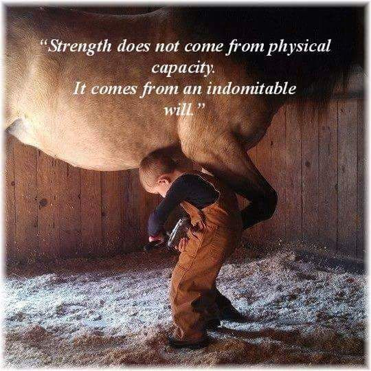 ShaneJacob_'s tweet photo. Will power!
#strengthquotes #physicalcapacity #physicalcapability #willpower #indomitable https://t.co/3IqTf4SJ5t