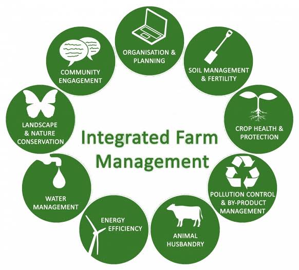 farmerscornerng's tweet photo. #agenlightenment What are the benefits of adopting modern agricultural management practices?

✍Comment below 👇

#modernfarmers #youthinag #agtech #modernagpractices #modernfarming #SDGs #iita #cgiar #transformag #farming #fao #yaligoesgreen #farmerscornerng https://t.co/oWEKUuntG8