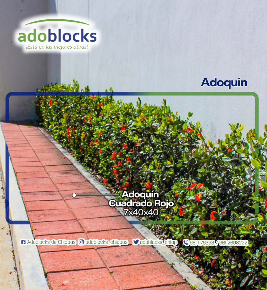 adoblockschis's tweet photo. Si tu jardín no tiene nuestros adoquines no es un Jardín.
Decora con estilo único 😀😎
🧱Adoquin Cuadrado en colores en rojo, negro y gris 7x40x40
📲WhatsApp: 9611179398 / 9612698222

visita nuestra pagina Web: www.//adoblocks.com.mx
#jardin #Construcción #TuxtlaGutierrez https://t.co/eBugA6hMuz