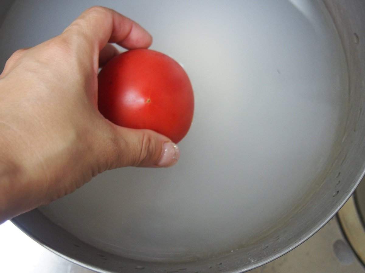 ホタテパウダー