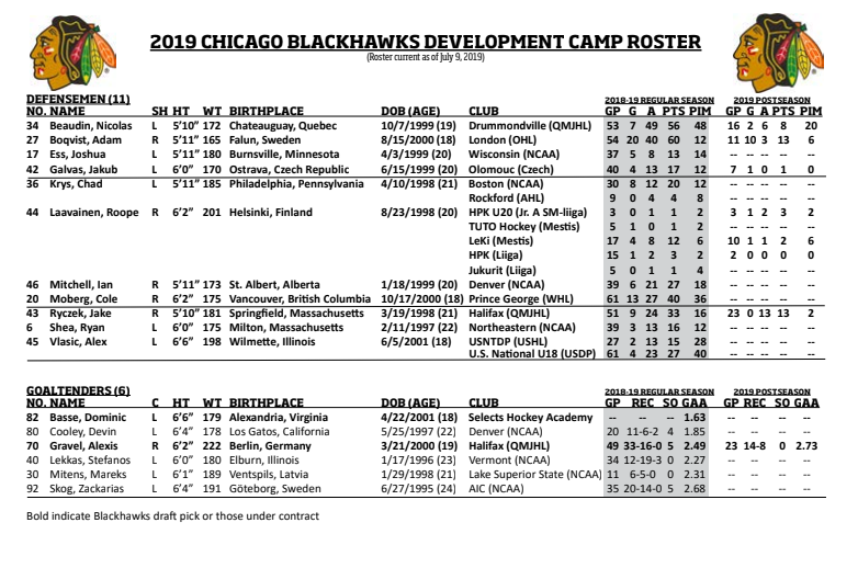 CRoumeliotis's tweet photo. #Blackhawks reveal 2019 development camp roster: https://t.co/mcFLuDGanT