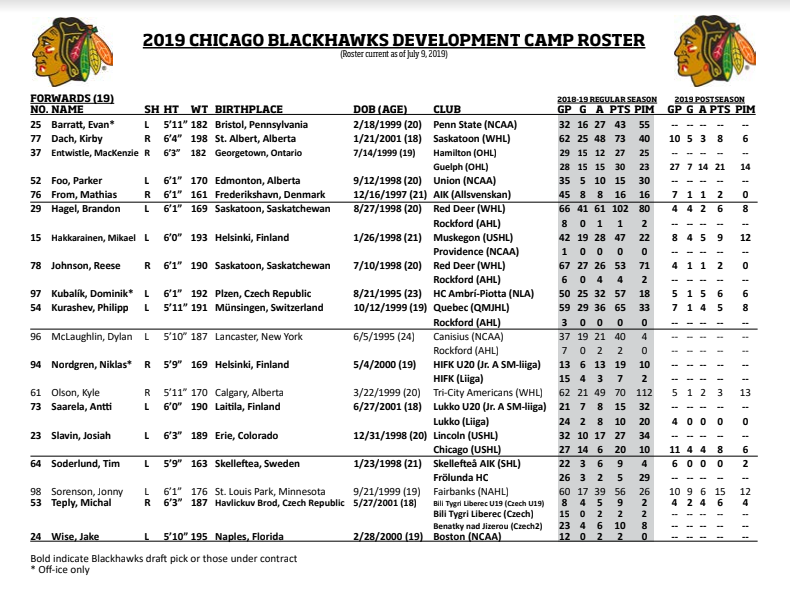 CRoumeliotis's tweet photo. #Blackhawks reveal 2019 development camp roster: https://t.co/mcFLuDGanT