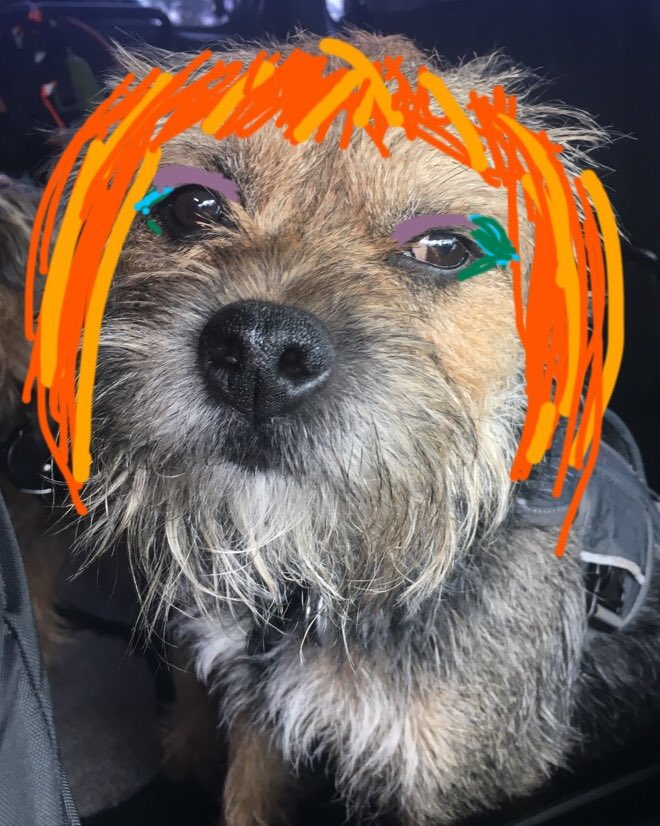 ScrappyN's tweet photo. @Lisa_Eldridge #mylisalook *sighs* if only makeup came so easily to all of us... my old lady says I look more like a Halloween pumpkin 🎃 it’s a beautiful look though... on the right person... which is clearly not me 😕 https://t.co/VTBI9iDw2P