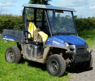 WYP_Wildlife tweet picture
