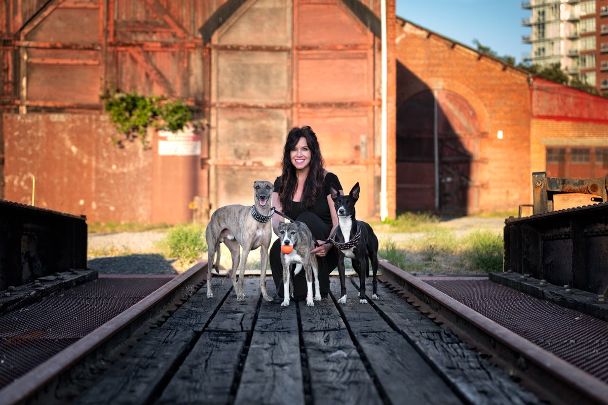 Flyballgrl's tweet photo. This pic by https://t.co/nEi24GkhSx is a beautiful capture of our great photo shoot last night, SPIRIT, SPUR (littermate to Slingshot the Guinness World Record holder) &amp; SYNC, a 6 time Dockdogs World Champion with a record 26'2 jump! @Petcurean @Dockdogs @duelingdogs @Jonno2k https://t.co/UTIXLVtE93