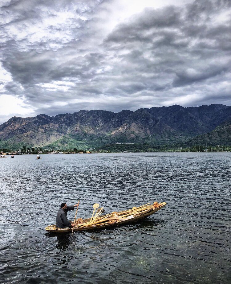 Dal-Lake|Shikara.
DM or email for prints!
#India #Asia #Srinagar #Kashmir #Dallake #reportagespotlight #Travel #shikara #cntgiveitashot #travel #world #photojournalism
