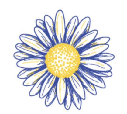 CathyStandish's tweet photo. #DaisyChain for Haley, for Lindsey, for Annie #AllforAli 🌸 https://t.co/k7RTc1zhv6