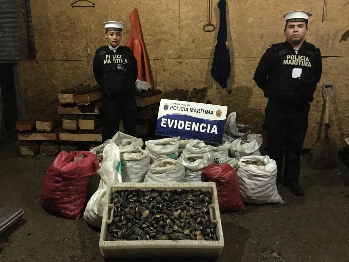 Capuerto Ancud tweet media