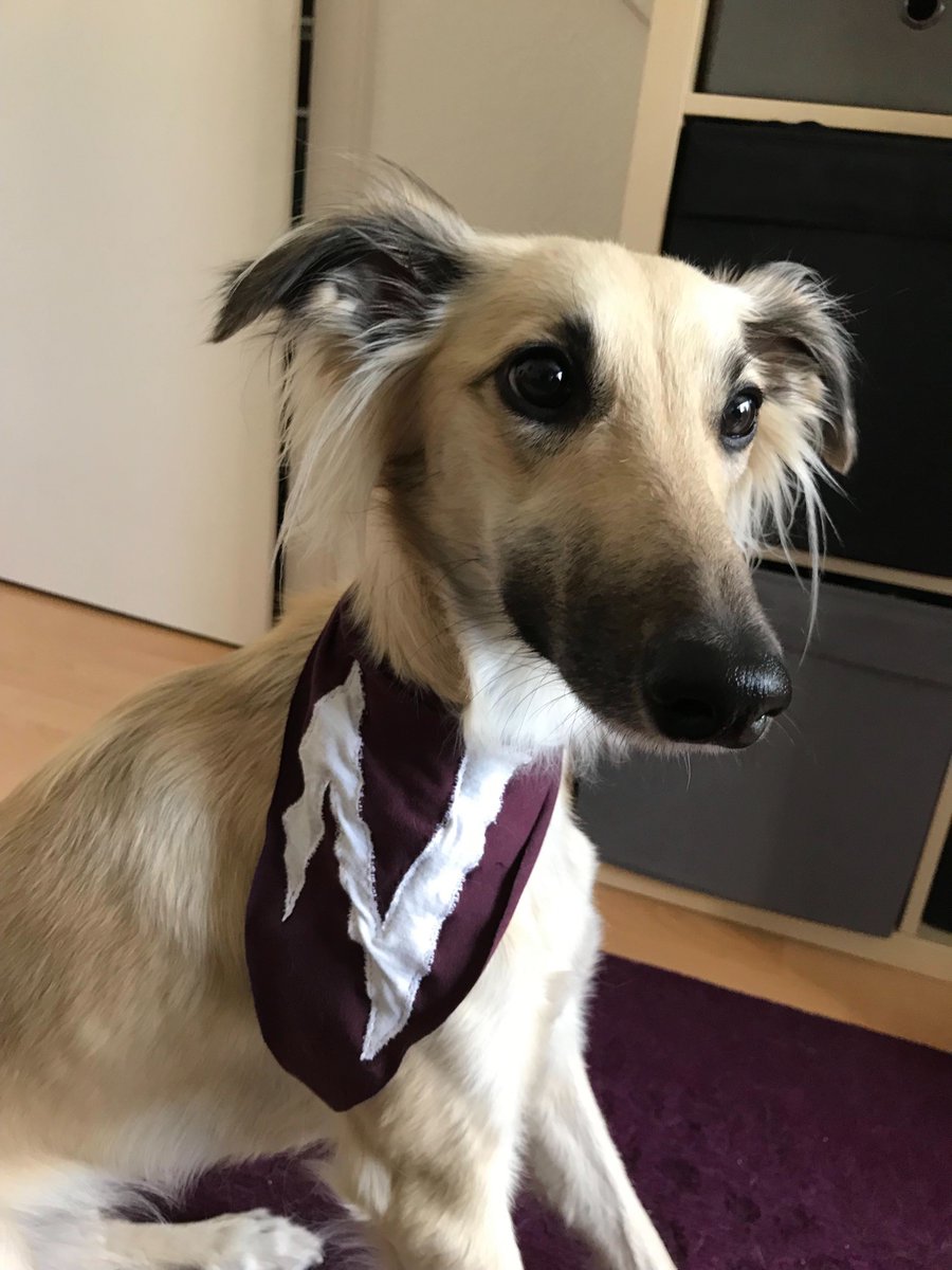 Neoskop GmbH tweet media