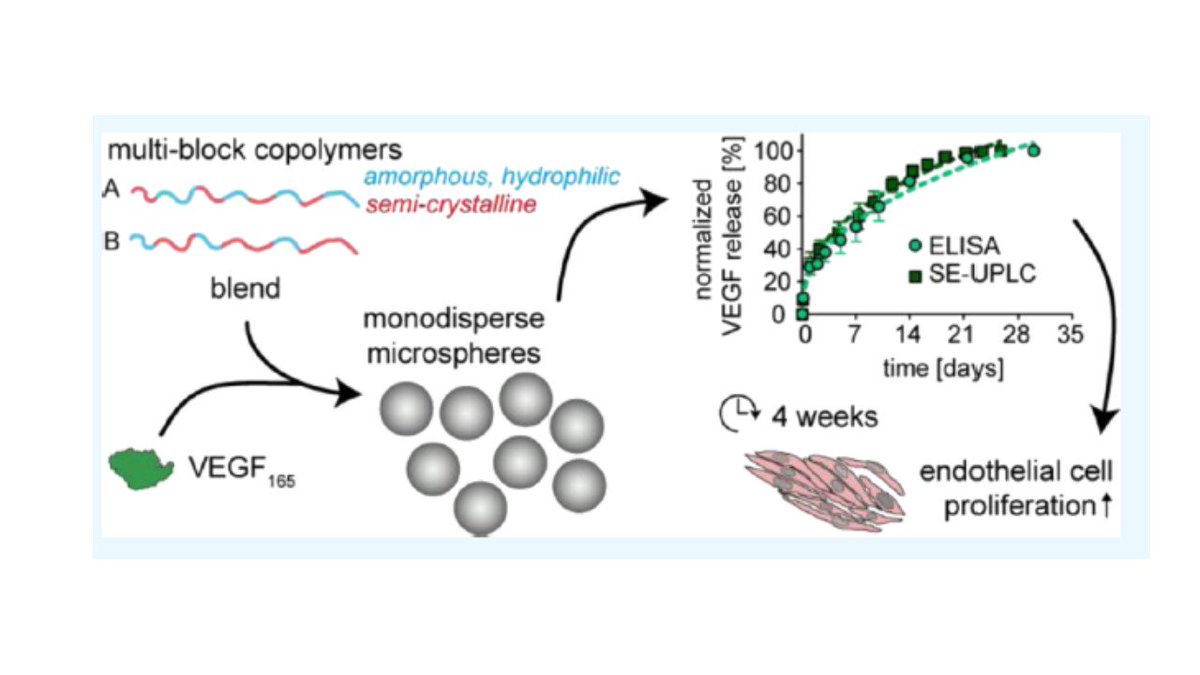 Garry P. Duffy (@gduffy00) on Twitter photo Also out is a 2nd <a href="/DRIVE4diabetes/">DRIVE 4 diabetes</a> collaborative paper showing sustained release of VEGF from multiblock copolymer microspheres for 4 wks. This work was led by <a href="/UniUtrecht/">Utrecht University</a> in collaboration with industry partner <a href="/InnocorePharma/">Innocore Pharmaceuticals</a> & our group <a href="/NUIGMedicine/">NUI Galway Medicine</a> pubs.acs.org/doi/pdf/10.102… Also out is a 2nd <a href="/DRIVE4diabetes/">DRIVE 4 diabetes</a> collaborative paper showing sustained release of VEGF from multiblock copolymer microspheres for 4 wks. This work was led by <a href="/UniUtrecht/">Utrecht University</a> in collaboration with industry partner <a href="/InnocorePharma/">Innocore Pharmaceuticals</a> & our group <a href="/NUIGMedicine/">NUI Galway Medicine</a> pubs.acs.org/doi/pdf/10.102…
