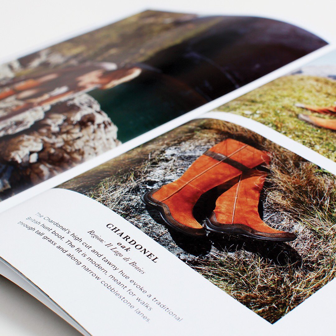 Someoddpilot tweet media