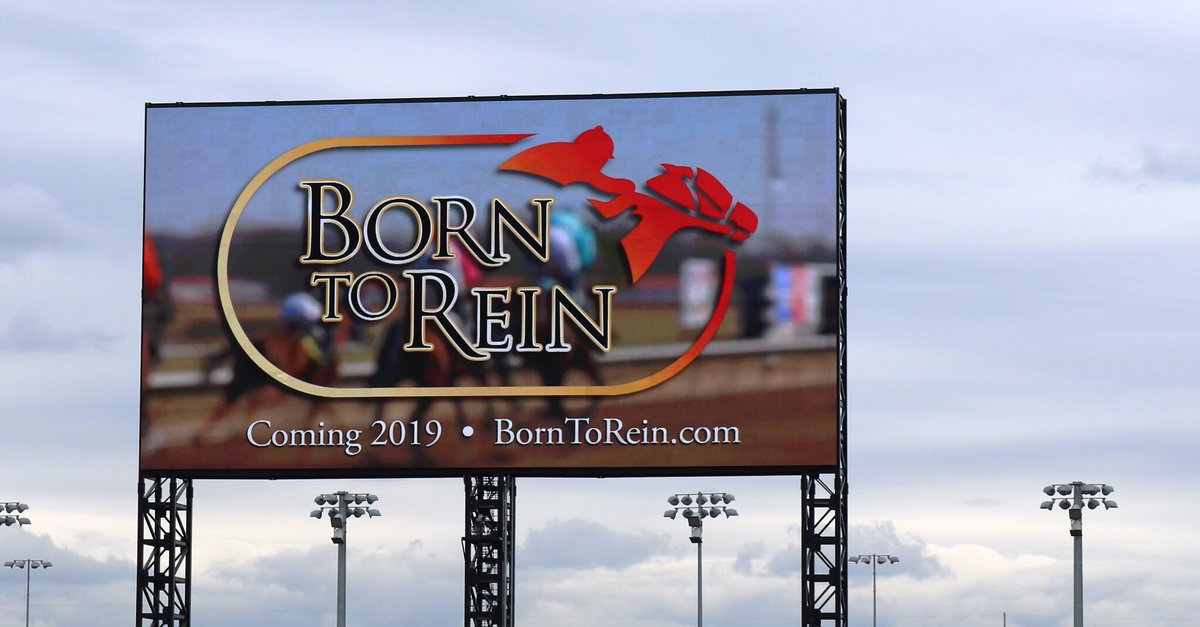 BornToRein's tweet photo. Do you have your tickets!? 🎫🎬
Born To Rein, the documentary honoring Hall of Fame Champions #JohnNerud, #MarionVanBerg, #JackVanBerg, #SirBarton, & their #Nerbraska routes, is making its National Screening on Aug. 20th at the @nmrhof!
Details here! 👇🏻
https://t.co/omH4Ax9c2V https://t.co/hOW8XynmRd
