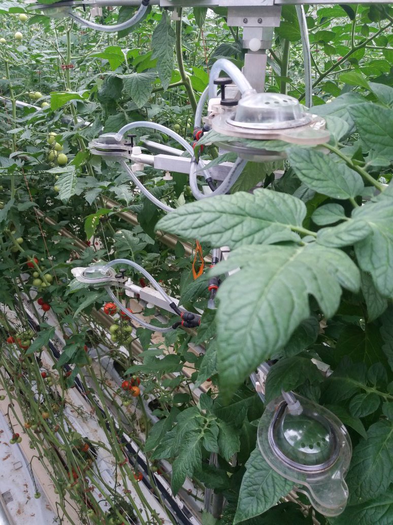 guido_schillaci's tweet photo. Thanks @LuisMirandaNet for the tour at the greenhouses at the @HumboldtUni and for sharing data from these nice sensors and control systems for our #adaptivemodels! @PredictiveRobot @SantAnnaPisa https://t.co/IWHdyo2Jyv