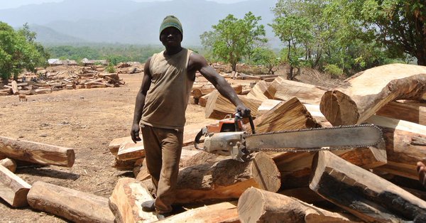 innercitypress's tweet photo. CAMEROON CORRUPTION: On #Cameroon, Biya's "Inspector General" Ango Ango Is Today US Designated As Corrupt on Natural Resources - As UN DSG @AminaJMohammed Backdated Rosewood Certificates & SG @AntonioGuterres Who Favors From Biya https://t.co/vzb9C9d4uO https://t.co/aa2SolyMUM