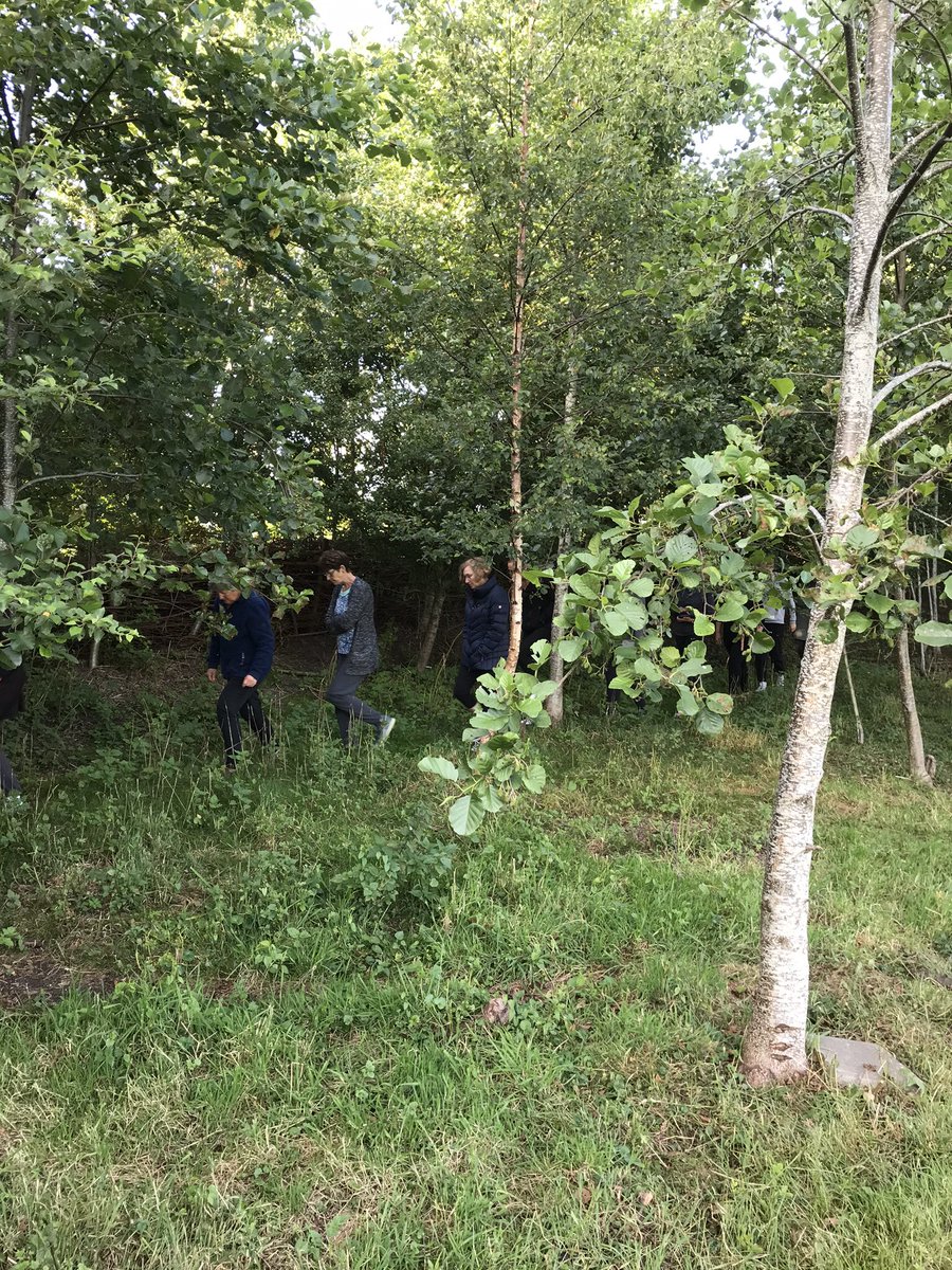 WayWorking's tweet photo. WoW wat een heerlijke informatieve rondleiding gehad van een natuurgids op ons landgoed. Alles wat groeit en bloeit en ons altijd weer boeit. https://t.co/yDG8zLCNFF