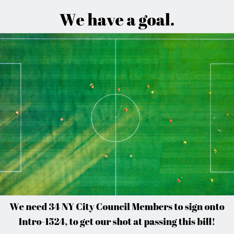 ParksForKidsNYC's tweet photo. We have 9 out of 34 NY City Council Members who signed onto "Intro-1524 ChildSafe Parks Act". We are working hard to reach our goal, and you can help by calling your local NYC Council Member and asking them to sign on! #Pesticides #kidshealth #toxic #NYCParks #SafeParksNYC https://t.co/aXwm2yUro8