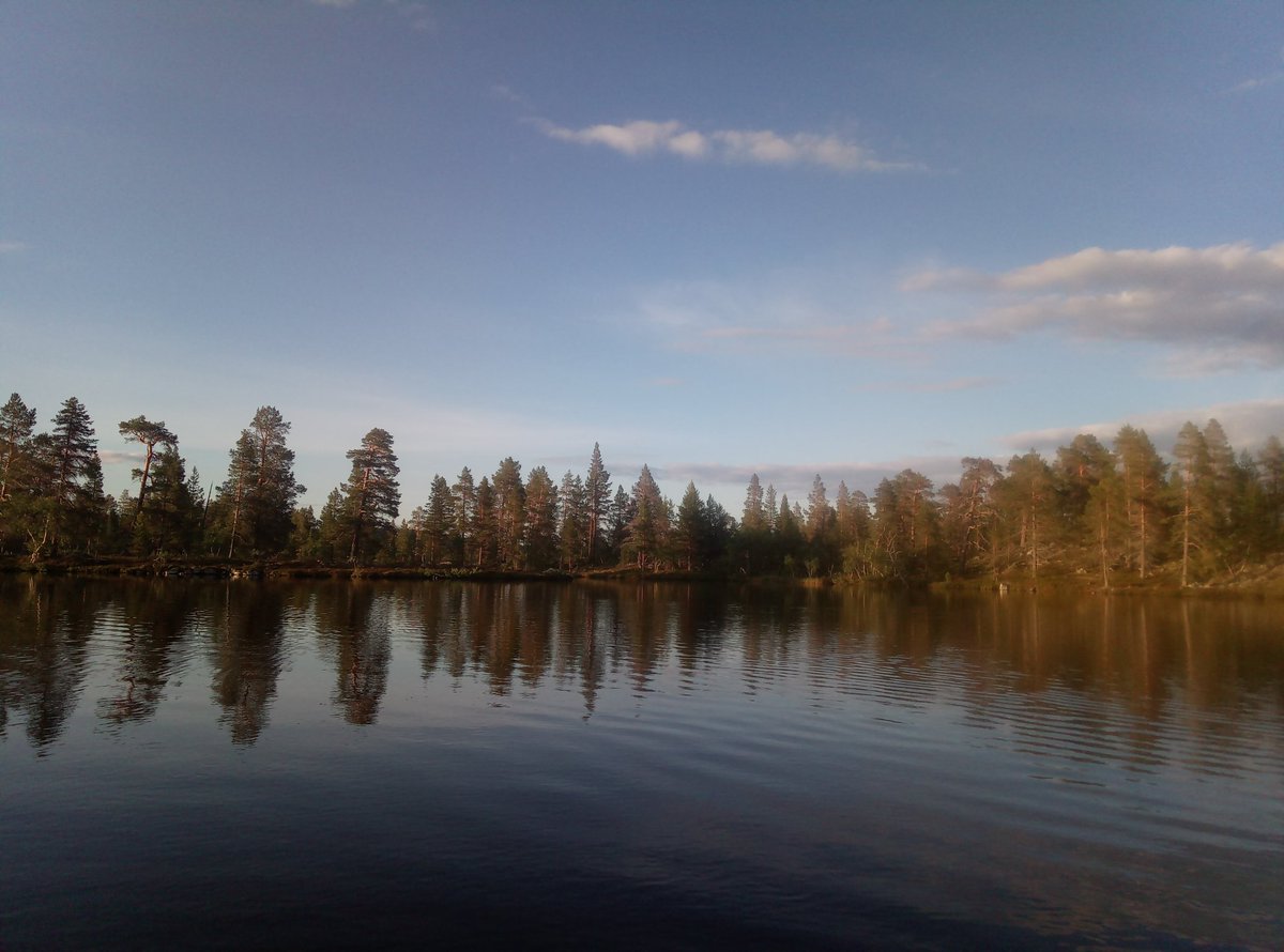 PaaTur's tweet image. @PaaTur ved #rogen.