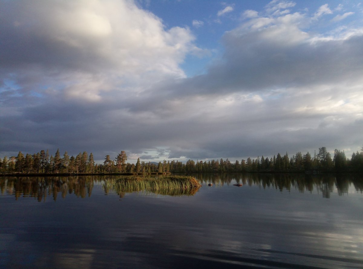 PaaTur's tweet image. @PaaTur ved #rogen.