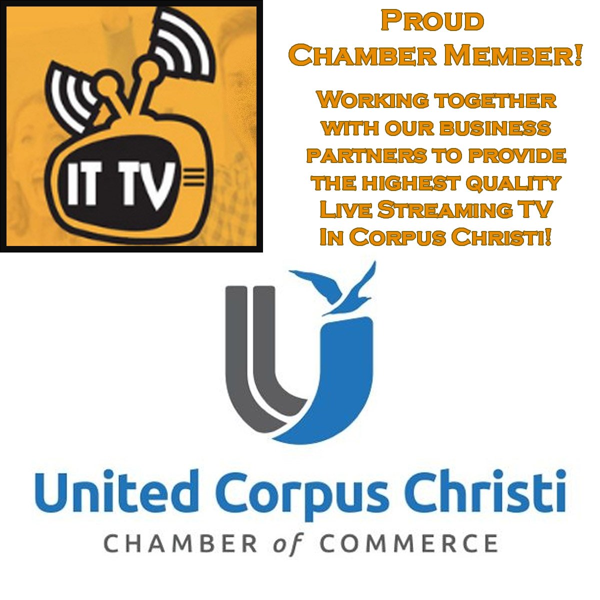 internet_techtv's tweet photo. Thank you @UnitedCCChamber and Efrain Franco Jr for all your support of Internet Technologies "Live Streaming" TV! We are proud chamber members and look forward to many partnerships in the future! #cutthecord #ittvcc https://t.co/eNLzblehC5