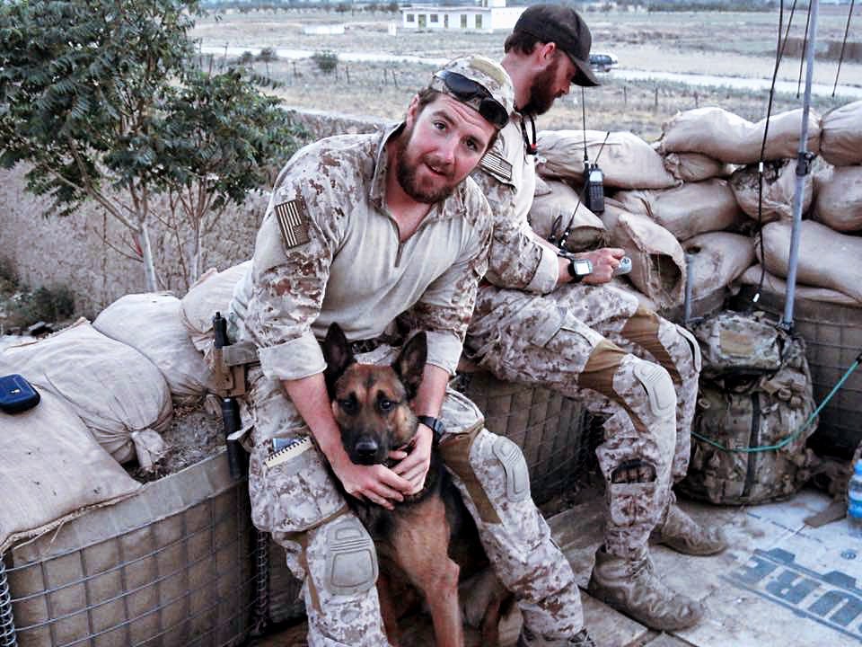 navy seal k9