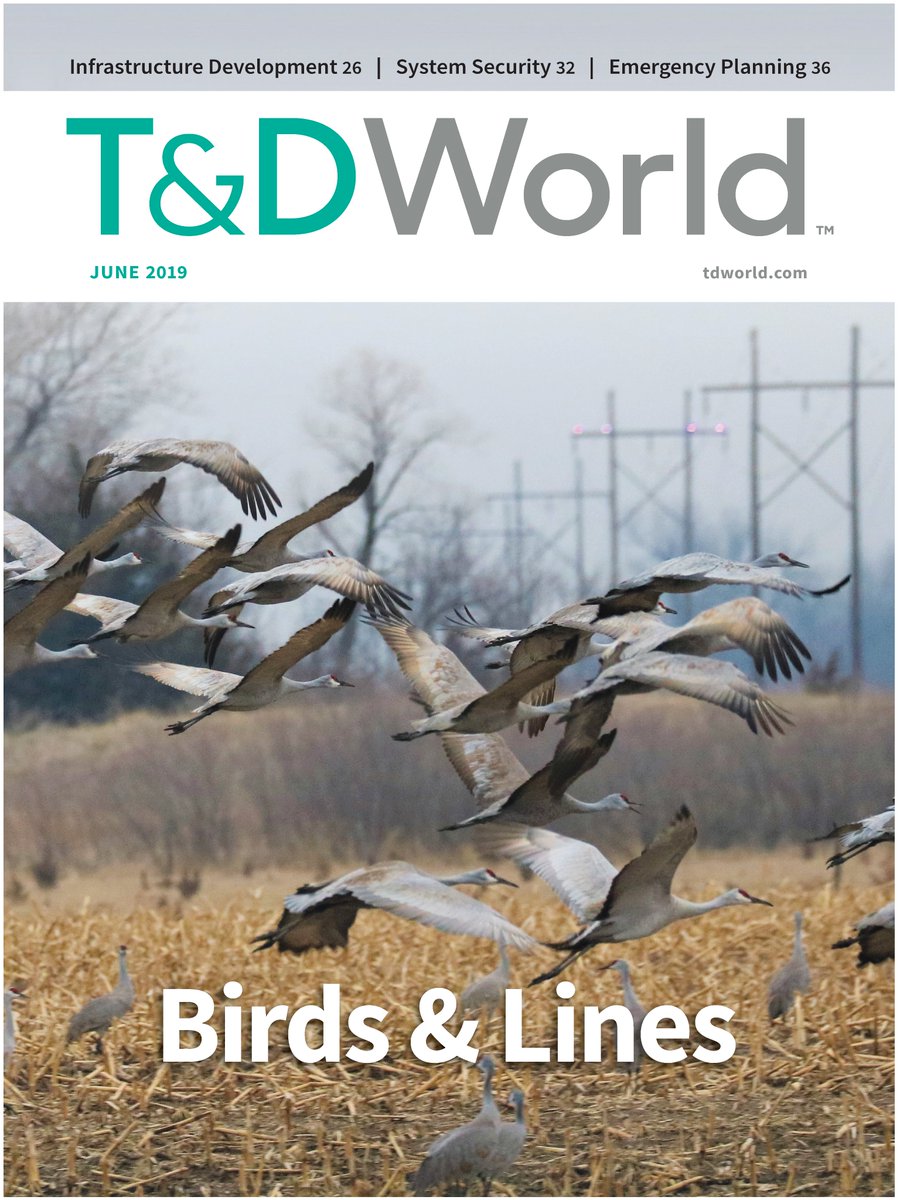 EDM_Colorado's tweet photo. Did you see the cover of the June issue of @tdworldmag ? See how EDM has helped reduce sandhill crane collisions with powerlines by 98%. https://t.co/AG2aBFX0MP https://t.co/HTp5YMtRox
