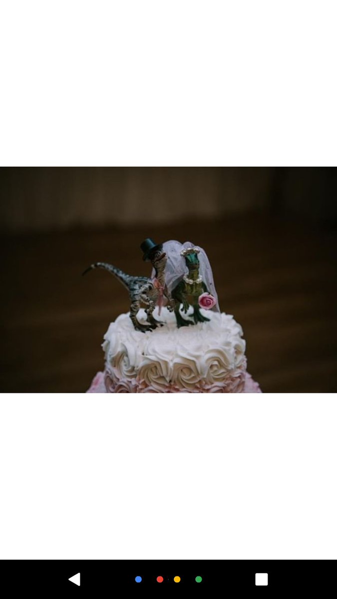 Was absolutely delighted to receive this message and photo from a lovely bride who got married at the weekend - this has made my day! 

#weddinginspiration #altbride #weddingcake #caketoppers #dinosaurs #weddinginspo
