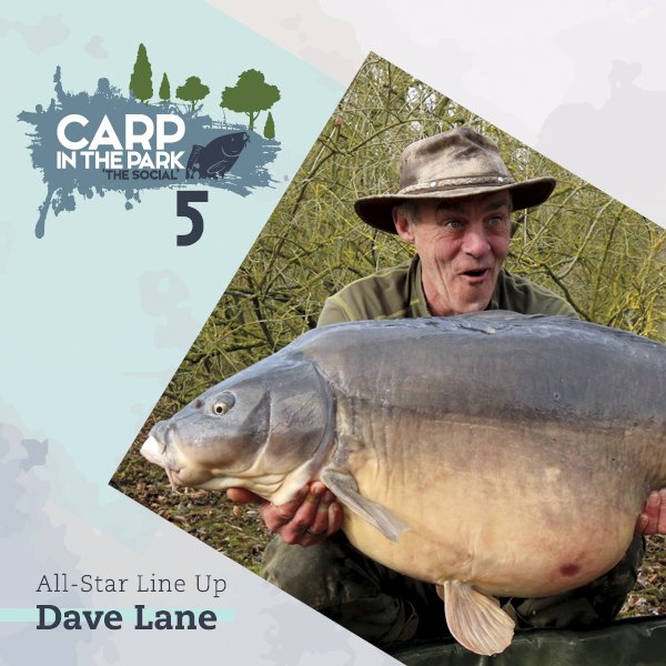 Advanced Carp Mag tweet media