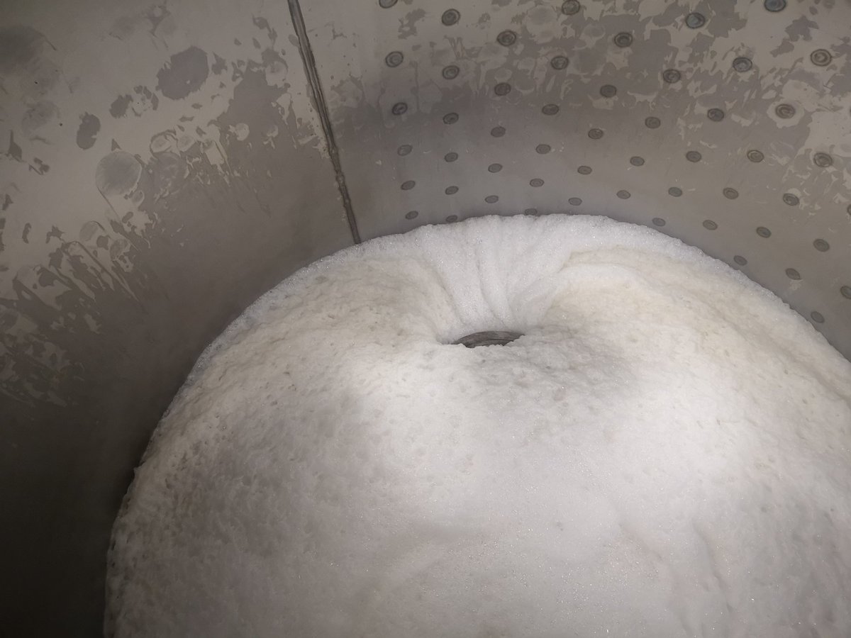 Cerne Abbas Brewery tweet media