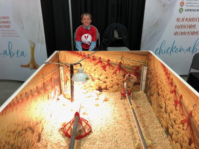 Alberta_Chicken tweet picture