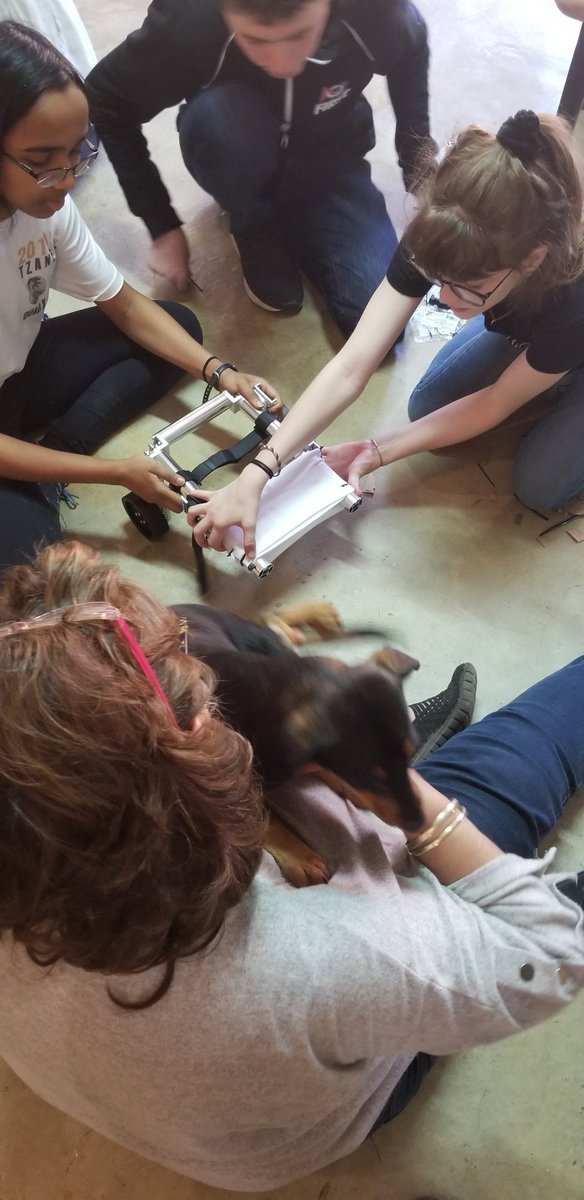 The final day of the 2019 QuadX Tzaneen FTC camp has come and went. Teams 16474 and 16475 have  done amazing things throughout the duration of the camp. Also, our team has successfully built our first pet wheelchair for Haetnersberg Rotary. <a href="/FIRSTweets/">FIRST</a> #TexasTeams  #STEMinAfrica