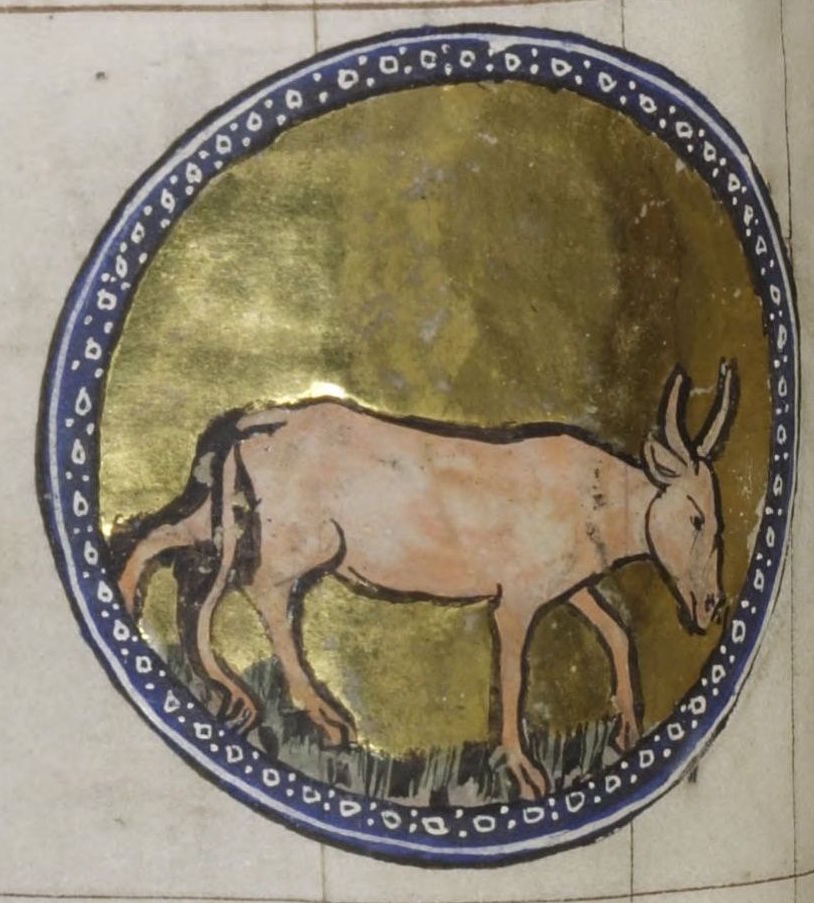 ParkerLibCCCC's tweet photo. Bovine best wishes this #CowAppreciationDay c/o these fine-fettle cattle from #Parker #marvellousmss The Peterborough Psalter & Bestiary (#CCCC53) & a another fine #drawing by Henry of Kirkstede (#CCCC404) - what #moo could you want?!
#medievaltwitter #illuminated #bestiary #gold https://t.co/utdsjcK1LF