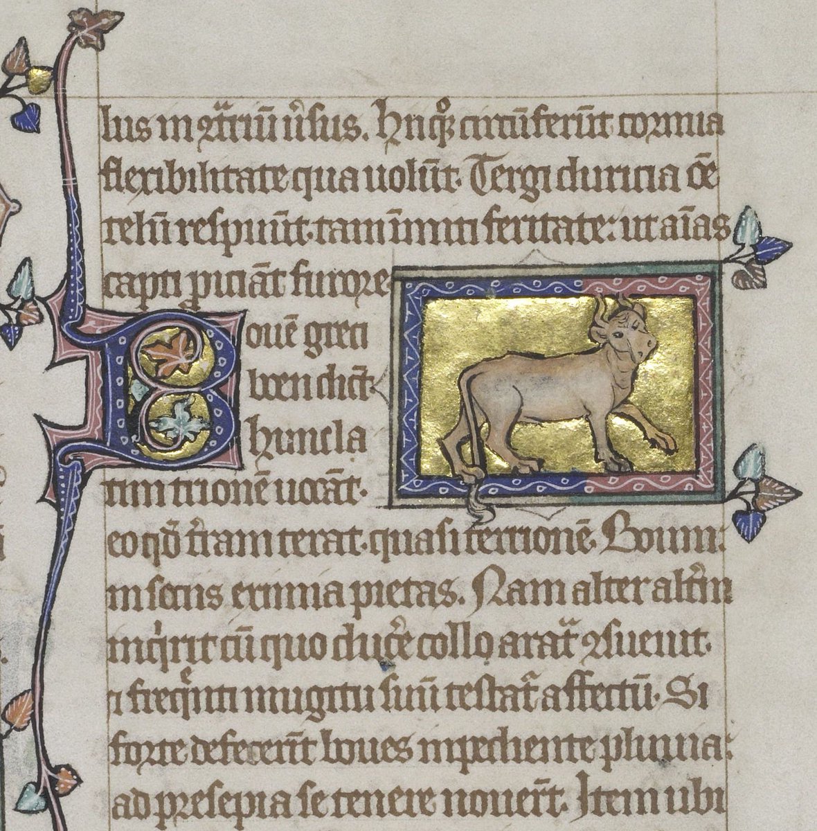 ParkerLibCCCC's tweet photo. Bovine best wishes this #CowAppreciationDay c/o these fine-fettle cattle from #Parker #marvellousmss The Peterborough Psalter & Bestiary (#CCCC53) & a another fine #drawing by Henry of Kirkstede (#CCCC404) - what #moo could you want?!
#medievaltwitter #illuminated #bestiary #gold https://t.co/utdsjcK1LF