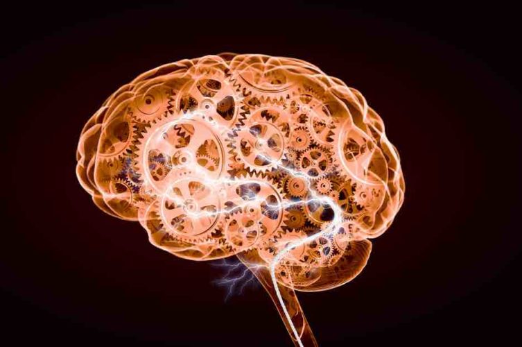 Being_Patient_'s tweet photo. For the first time, researchers have determined that a molecule called #VPS35 can clear #tau proteins, a hallmark of #Alzheimers disease, in the brain. Discover how this finding may help scientists prevent Alzheimer's: https://t.co/72XkxaNbPo
#dementia #science #health #news https://t.co/B1J8eOVHel