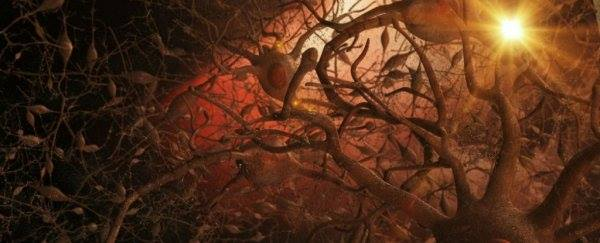 Vet_Summit's tweet photo. Noninvasive treatment improves memory and reduces amyloid plaques in mice #Veterinarymedicine #veterinaryhaematology #Animalcells #Veterinarytoxicology #VeterinaryDermatology #Veterinaryproducts #Animalmechanism #Veterinaryepidemiology https://t.co/LuZDcwshPM