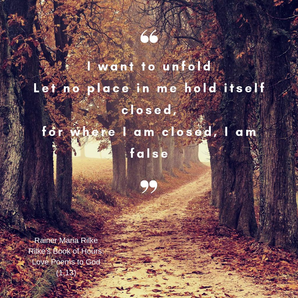 khamblinhart's tweet photo. I have spent a good portion of my life closed up. Over the last several years I have done some deep work &amp; am lopening myself up. The results are amazing! I have experienced more joy &amp; connection than ever. I'm still learning, but it is worth effort! #openyourselfup #Rilke https://t.co/VHHQm0Icdq