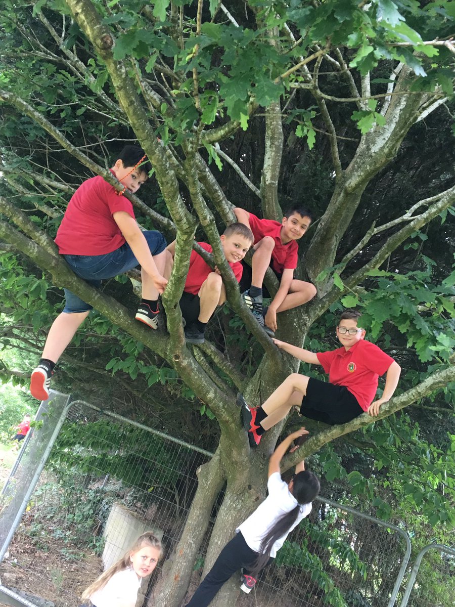 Llan_Prim_Sch's tweet photo. Climbing trees and playing catch before storytime in the breeze. The perfect way to end a Tuesday afternoon. 🌳#Y4J https://t.co/8wXYP3quRU