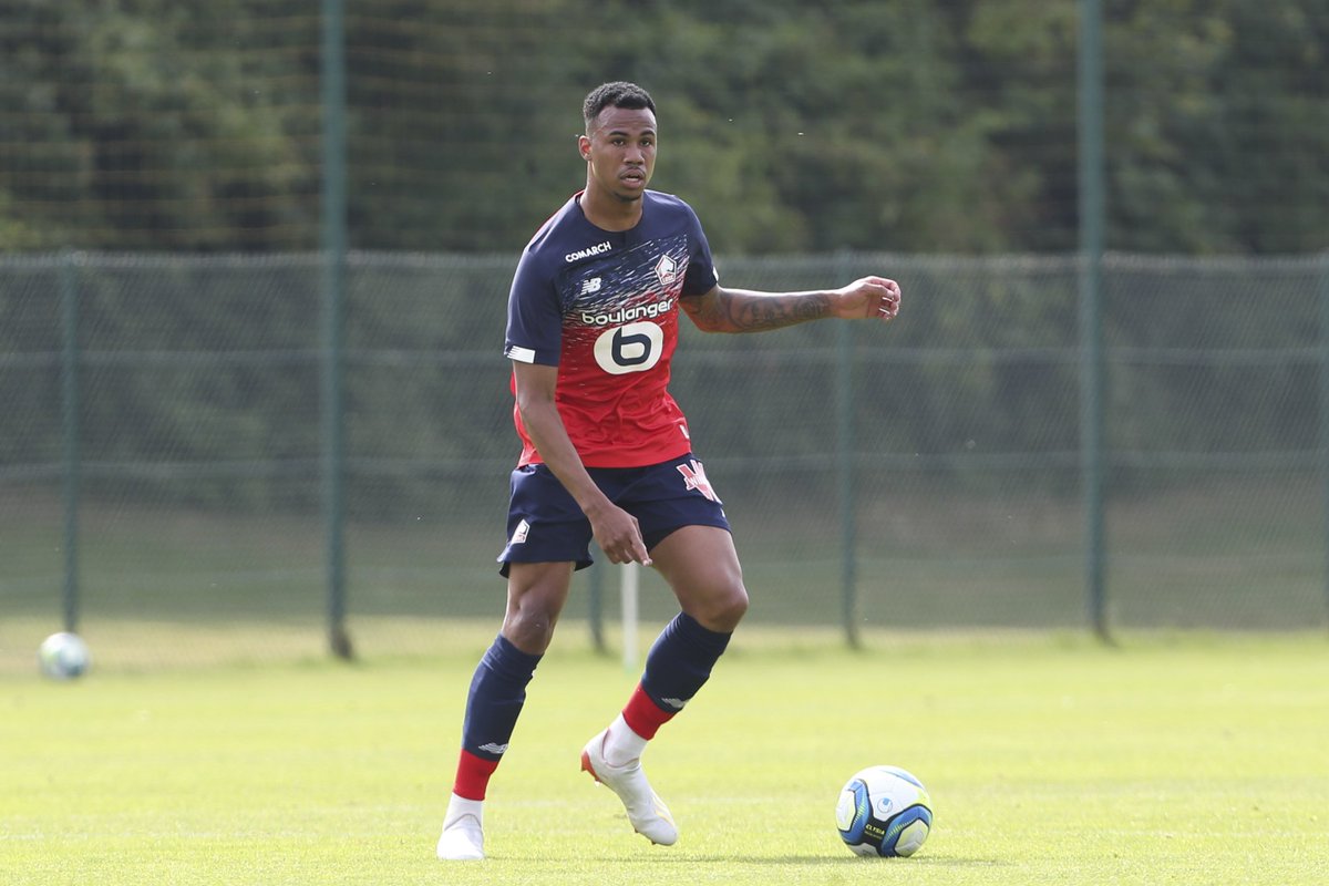 LOSC tweet media
