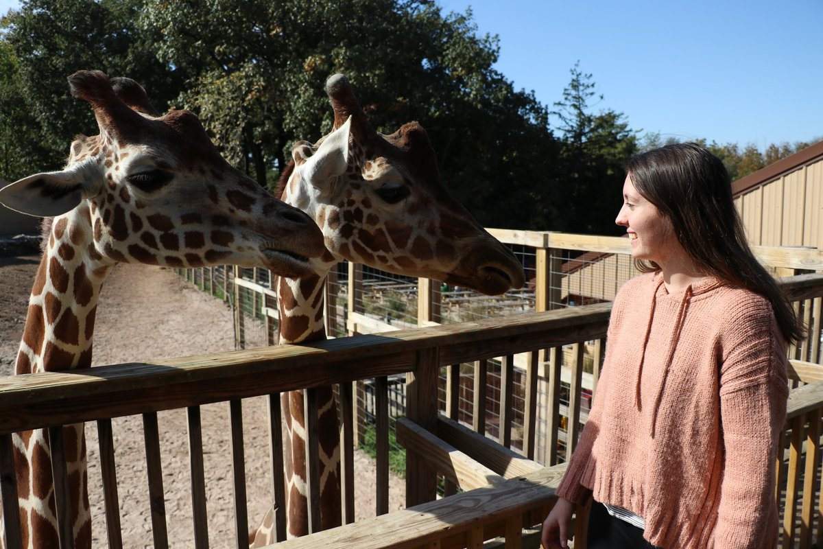 newhopefilmfest's tweet photo. Thought-provoking student film explores @ElmwoodParkZoo https://t.co/E9BwToOnCs https://t.co/itL1oJqmdF