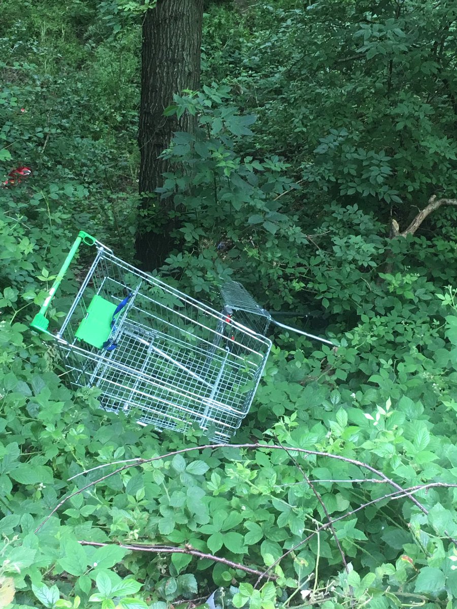 ambgem's tweet photo. @SunderlandLeads @SunderlandUK @SundCulture how do we rid the streets of Sunderland of these trollies they are a blight on the neighbourhood. These are on Malvern Road Lambton Washington. Sick to the back teeth of reporting them https://t.co/BlyUFARH0c