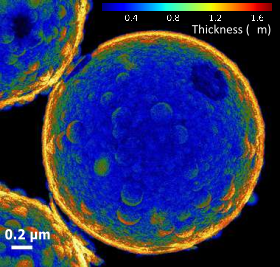 SamuelNanobots's tweet photo. Which are the best enzymes to power micromotors? and Why? Look at our paper https://t.co/PEMb5RYSlm in @NatureComms from @arque_x @tania_patino_ from @IBECBarcelona with @silviaosu (also @icreacommunity ) @romero_adria, @ferranfeixas from @CompBioLab_IQCC  Here our motor! https://t.co/hkzCF2rGRC