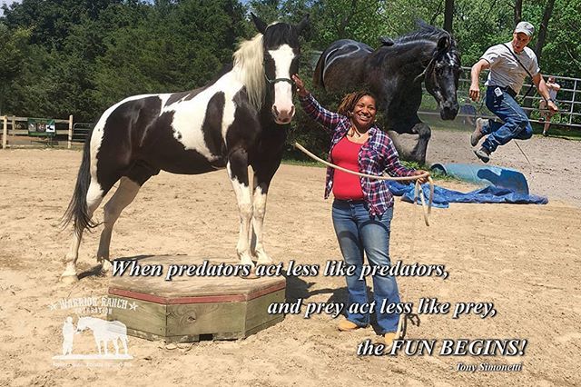 warrior_ranch's tweet photo. The fun begins!!!
#horses #equine #horselover #veterans #firstresponders #ptsd #equineinteraction #longisland #painthorse #WRFManto #simonettitraining #trailcourse #horsegames #military #usarmy #warriorranch #warriorranchfoundation https://t.co/NuXr0sm0pA https://t.co/ZxLcGN8DRM