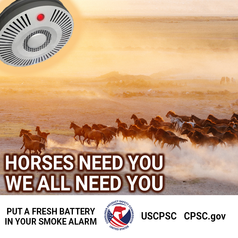 A giant smoke alarm in the sky guiding horses across the prairie. The text reads: Horses need you. We all need you. Put a fresh battery in your smoke alarm.