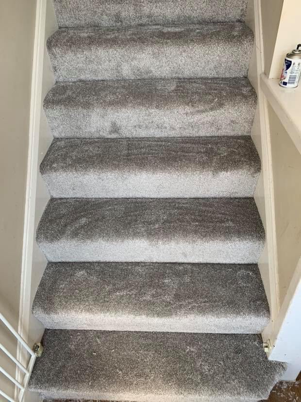 G & R Carpets, Vinyls & Artificial Grass tweet media