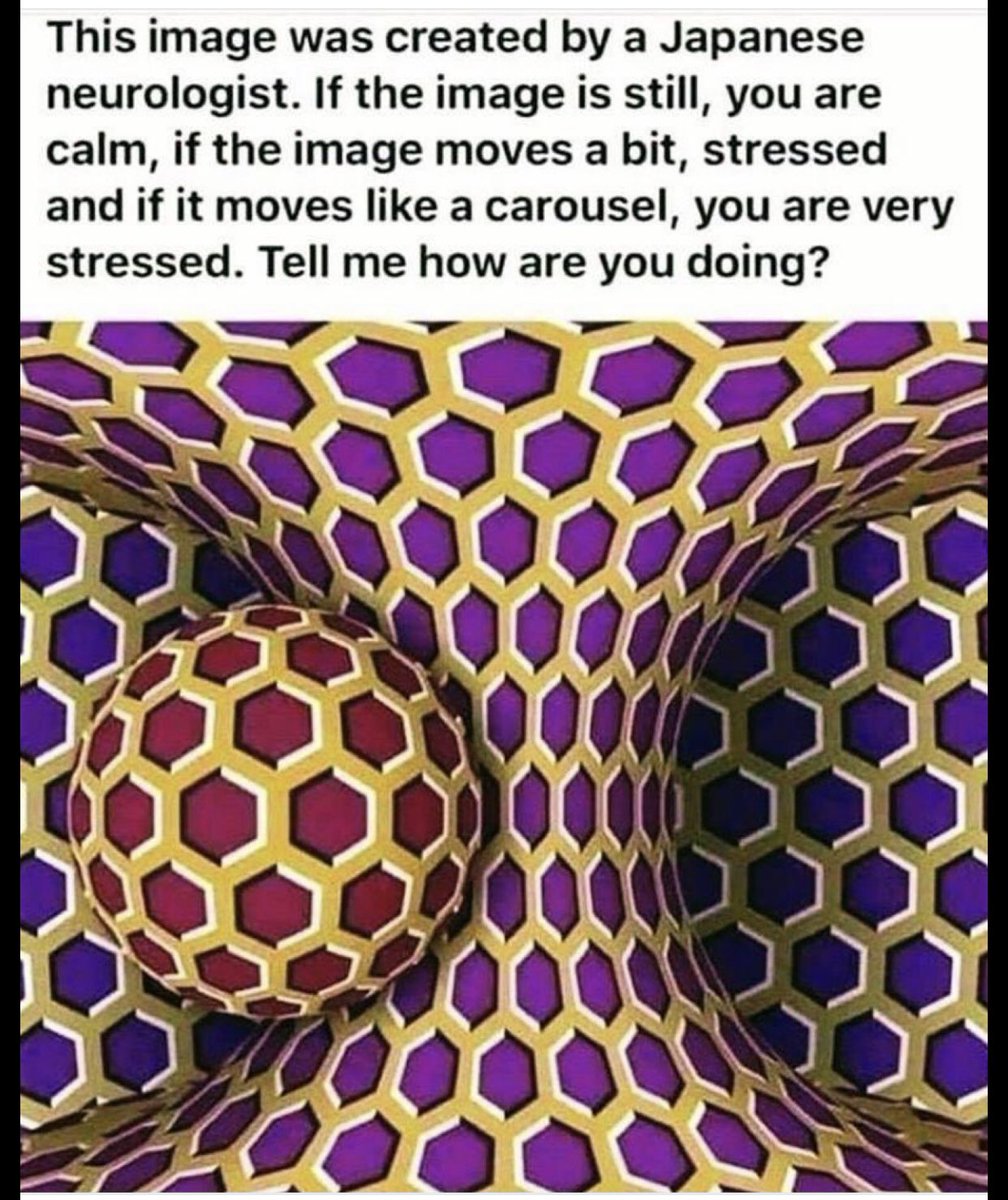 JustEricWalker's tweet image. This is interesting. I am not stressed! Who knew?
