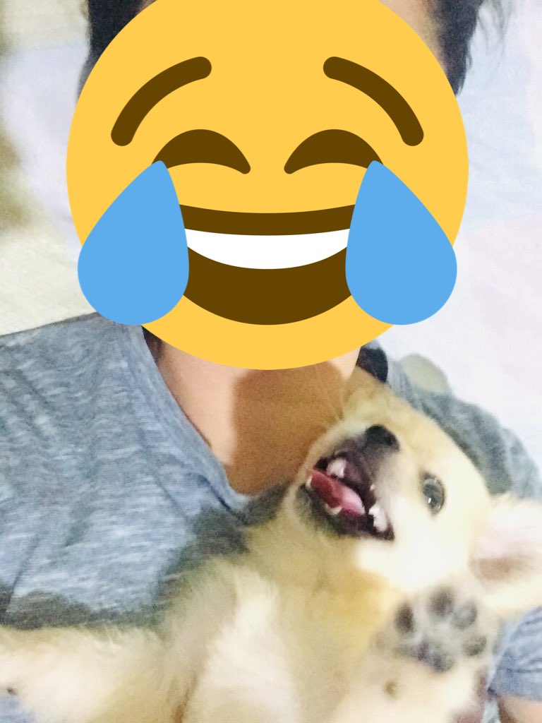 eurickhen's tweet photo. LoveyouLove😘 https://t.co/EPWgcaK2du