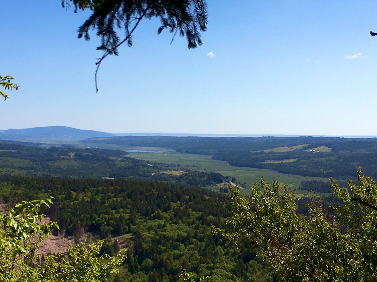 munn_douglas's tweet image. The Fundy Push: flagging for #blackleggedticks from Springfield to Dieppe by way of @FundyNP, this week. Off to a very good start.