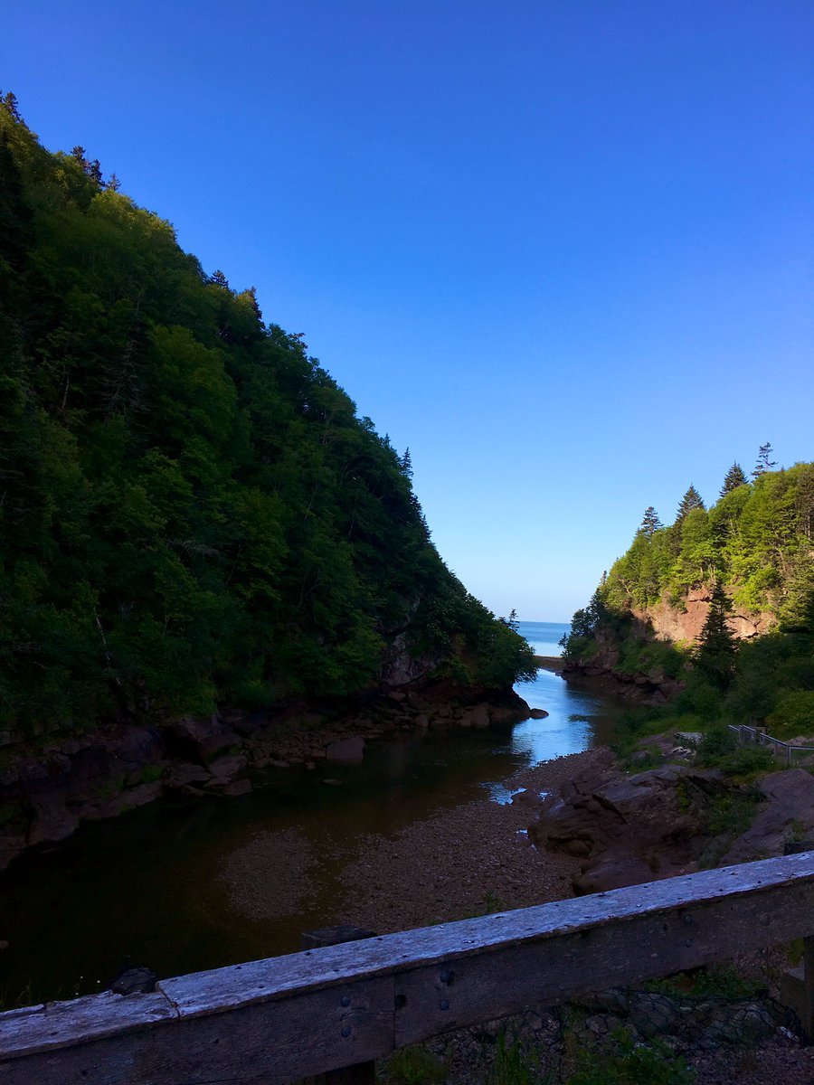 munn_douglas's tweet image. The Fundy Push: flagging for #blackleggedticks from Springfield to Dieppe by way of @FundyNP, this week. Off to a very good start.
